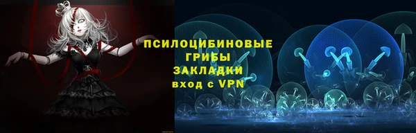 бошки Осинники